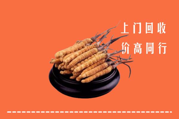 高价求购：兴文县回收散虫草