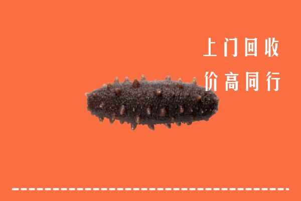 高价求购：兴文县回收海参