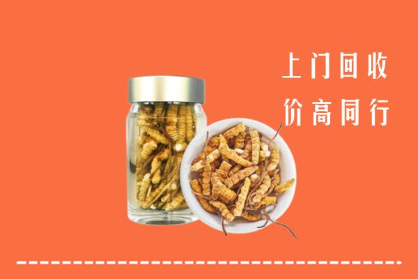 兴文县高价回收冬虫夏草