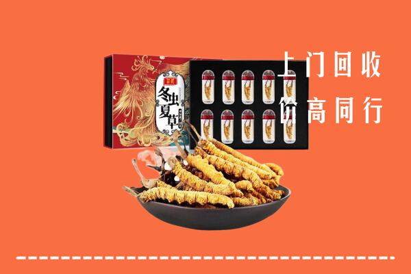 兴文县高价回收虫草